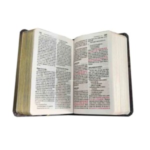 Biblia RV1960 Compacta Flex Flores Turqueza