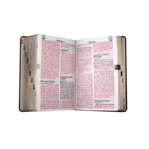 Biblia RV1960 Mediana, Letra Gigante