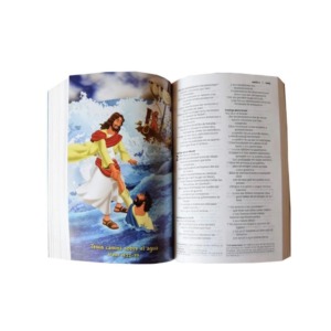 La Biblia Ilustrada Para Niños Pdt