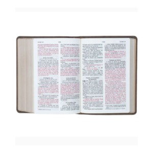 Biblia Nvi Letra Grande
