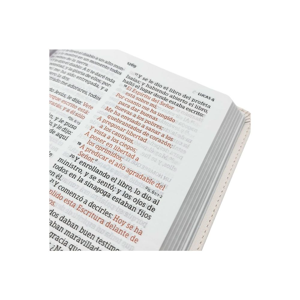 Biblia Letra Grande RV1960 Tamaño Manual acuarelas - Image 3