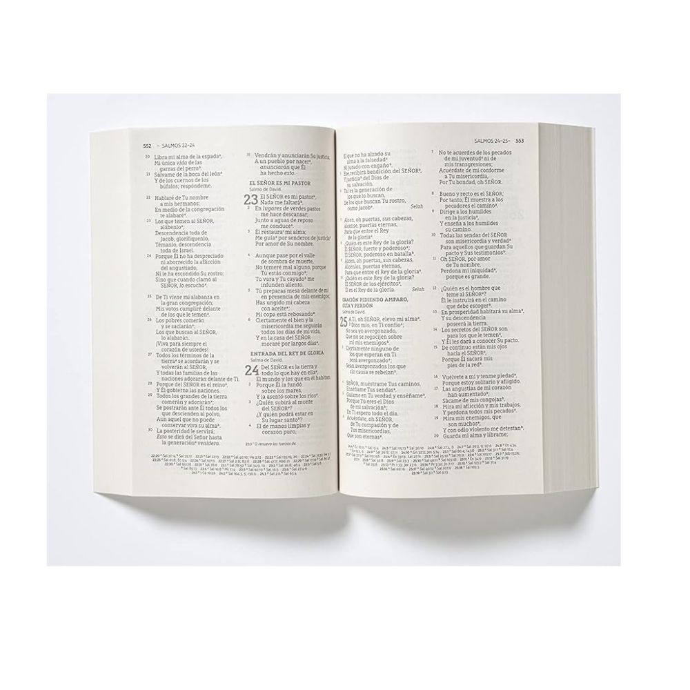 Biblia NBLA Economica Letra Grande – Tapa Rustica - Image 2
