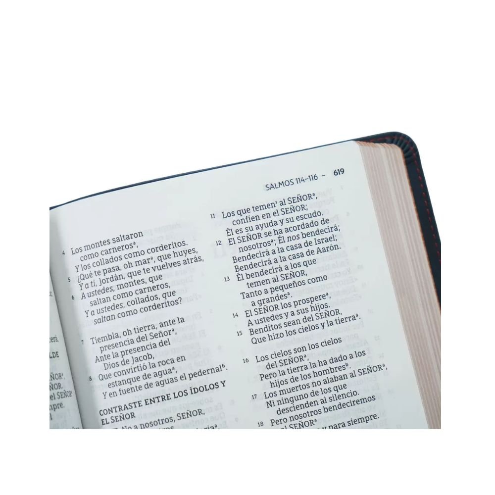 Biblia NBLA ultrafina – imitacion piel azul - Imagen 4