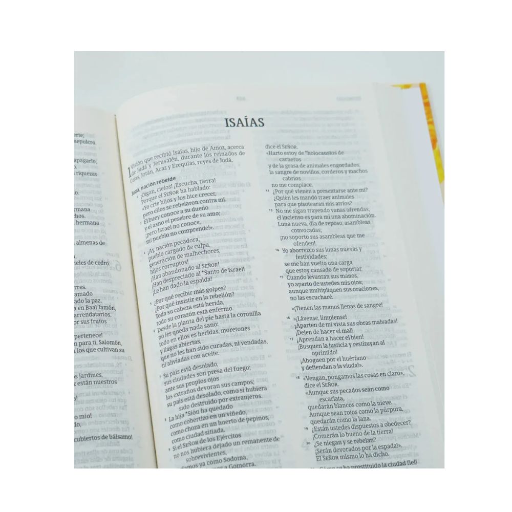 Biblia NVI 2022 Ultrafina Tapa Dura - Image 3