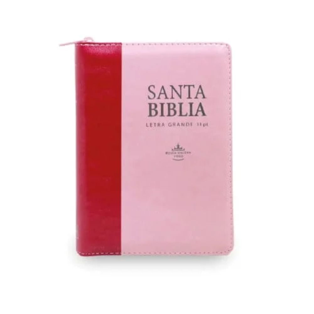 Biblia R1960 Letra Grande