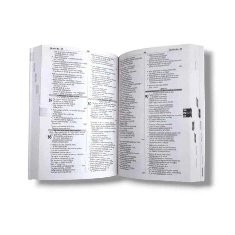 Biblia RV1960 económica – Rebaño - Image 2