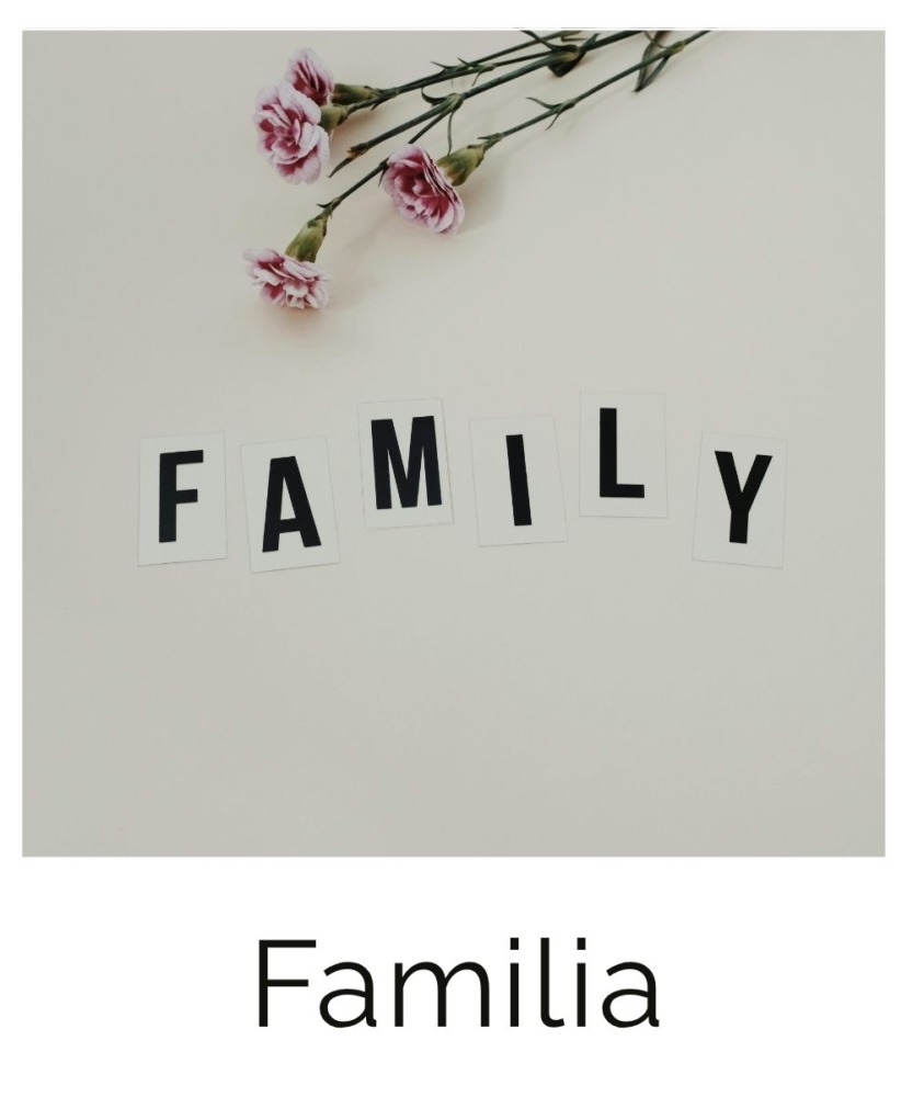 Familia cristiana Catálogo de productos