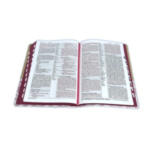 Biblia NTV Letra Grande