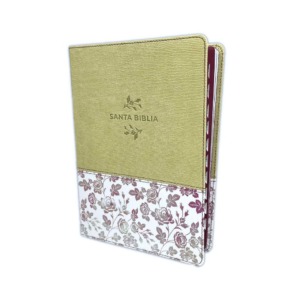 Biblia NTV Letra Grande