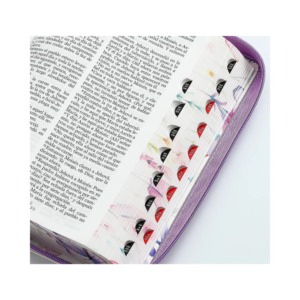 Biblia RVR60 tamaño manual letra grande