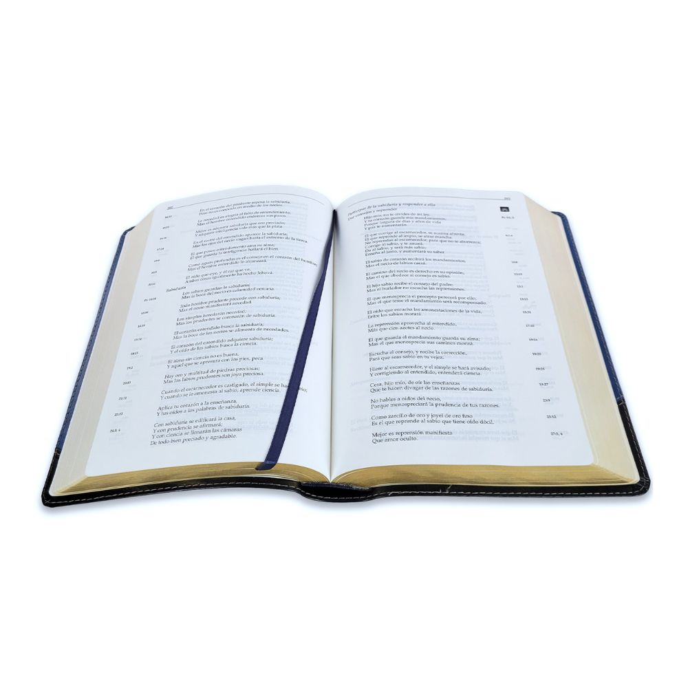 Biblia en Orden Cronologico RV1960 – Azul/Negro - Image 3