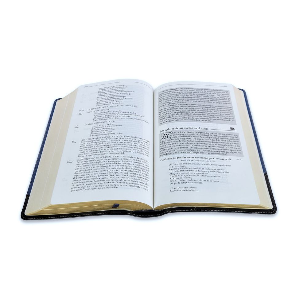 Biblia en Orden Cronologico RV1960 – Azul/Negro - Image 4