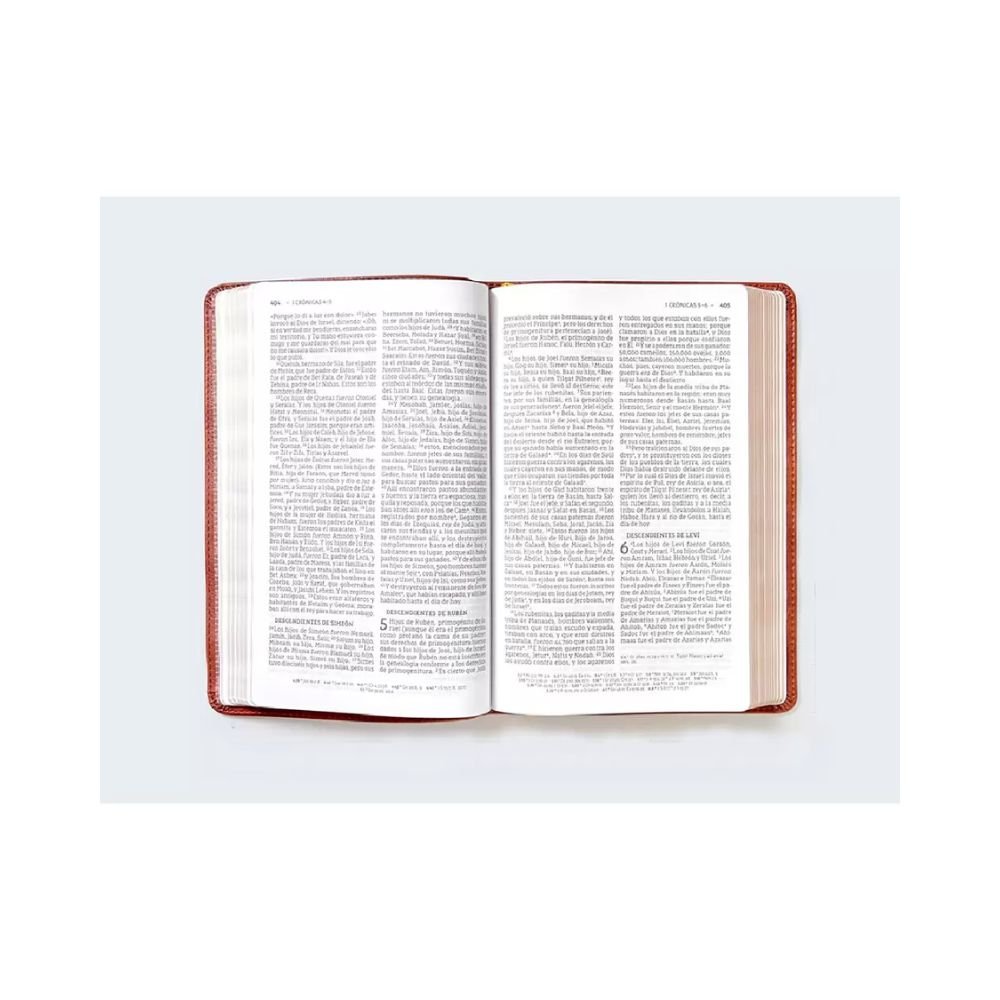 Biblia NBLA Ultrafina Letra Grande - Café - Imagen 3
