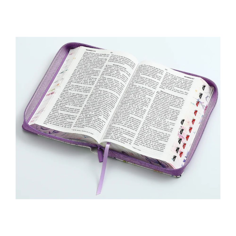 Biblia RV1960 tamaño manual letra grande - Image 3