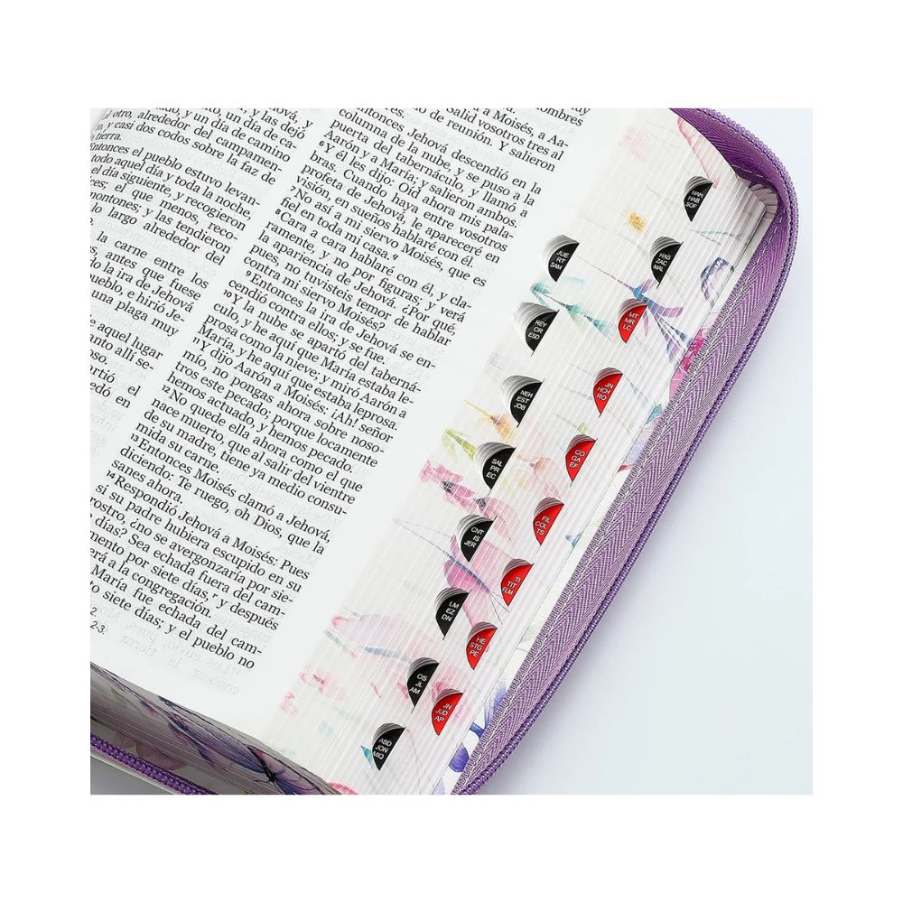Biblia RV1960 tamaño manual letra grande - Image 2
