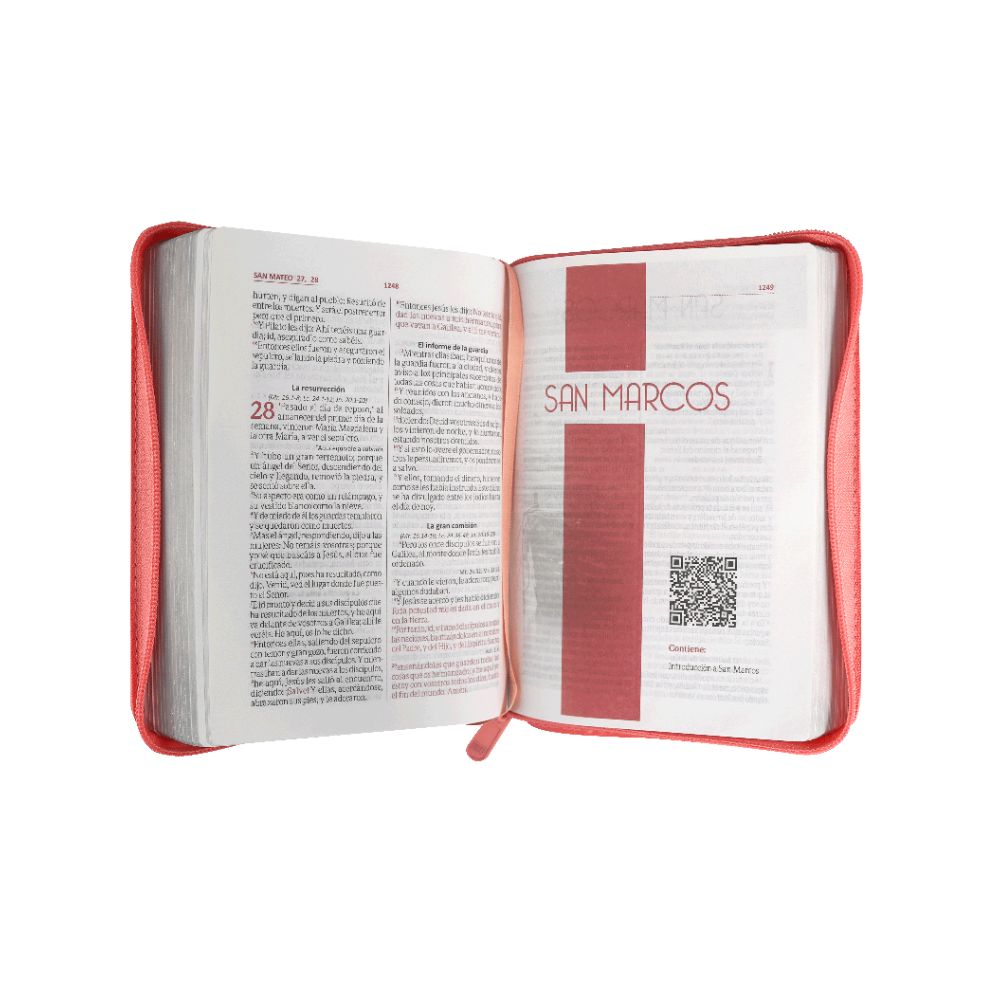 Biblia Color Rosa Beige RV1960 - Image 2