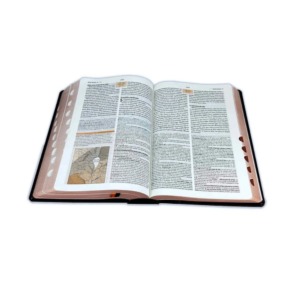 Biblia de Estudio Teológico RVR1960, color negro, con índice