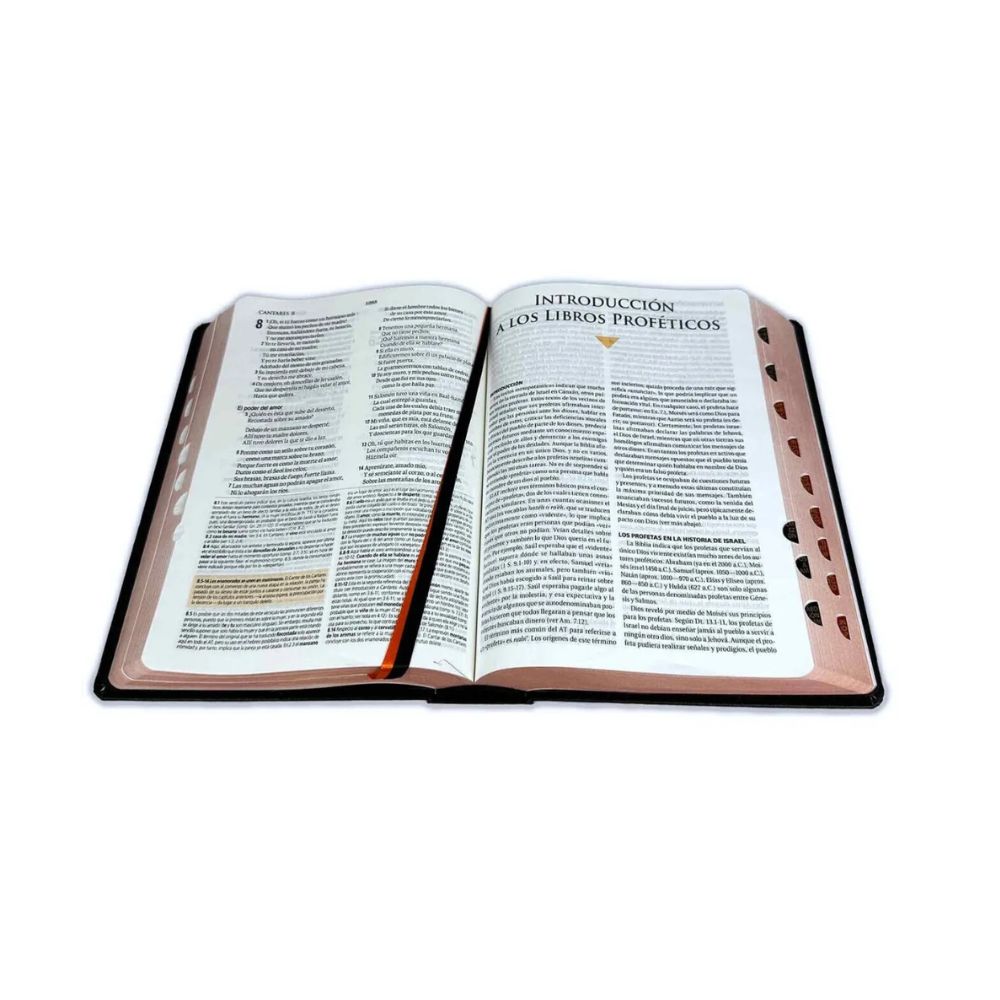 Biblia de estudio Teológico RV1960 con índice - Image 3