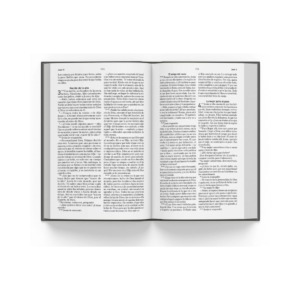 Biblia El Mensaje SentiPiel color Gris, lenguaje claro y profundo