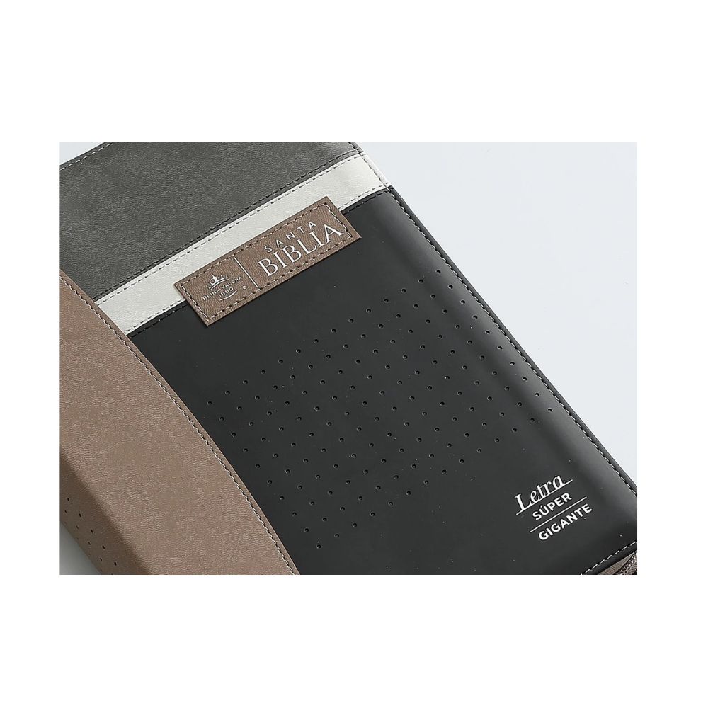 Biblia RV1960 Letra Gigante 19 Puntos - Image 3
