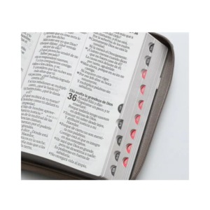 Biblia RVR60 Letra Súper Gigante 19 Puntos con cierre