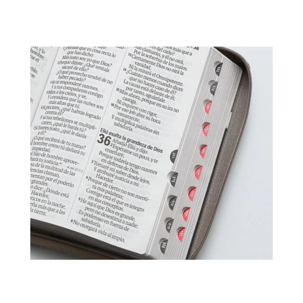 Biblia RV1960 Letra Gigante 19 Puntos - Image 2