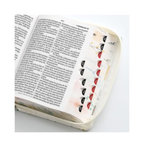 Biblia RVR60 Tamaño compacto Letra Grande, con cierre