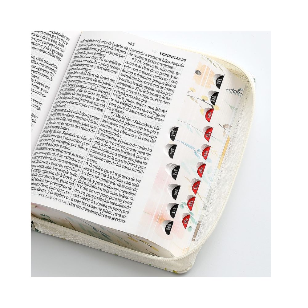 Biblia RV1960 Tamaño compacto Letra Grande - Image 2