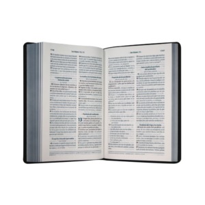 Biblia RVC Letra Grande Imitación Piel color Gris