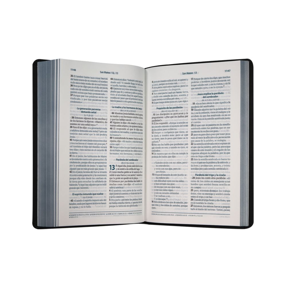 Biblia RVC Letra Grande Imitación Piel Gris - Image 2