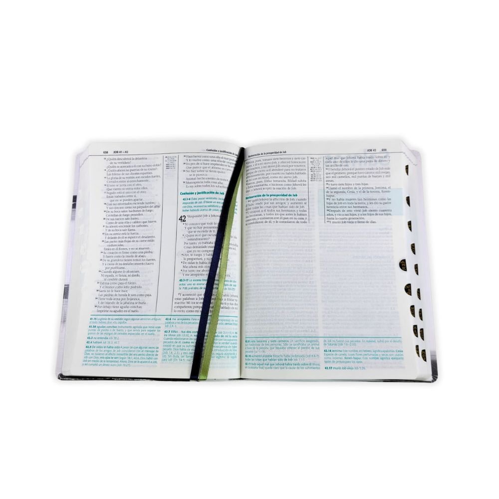 Biblia RV1960 de Estudio Esquematizada Letra Grande Tapa Blanda - Imagen 3