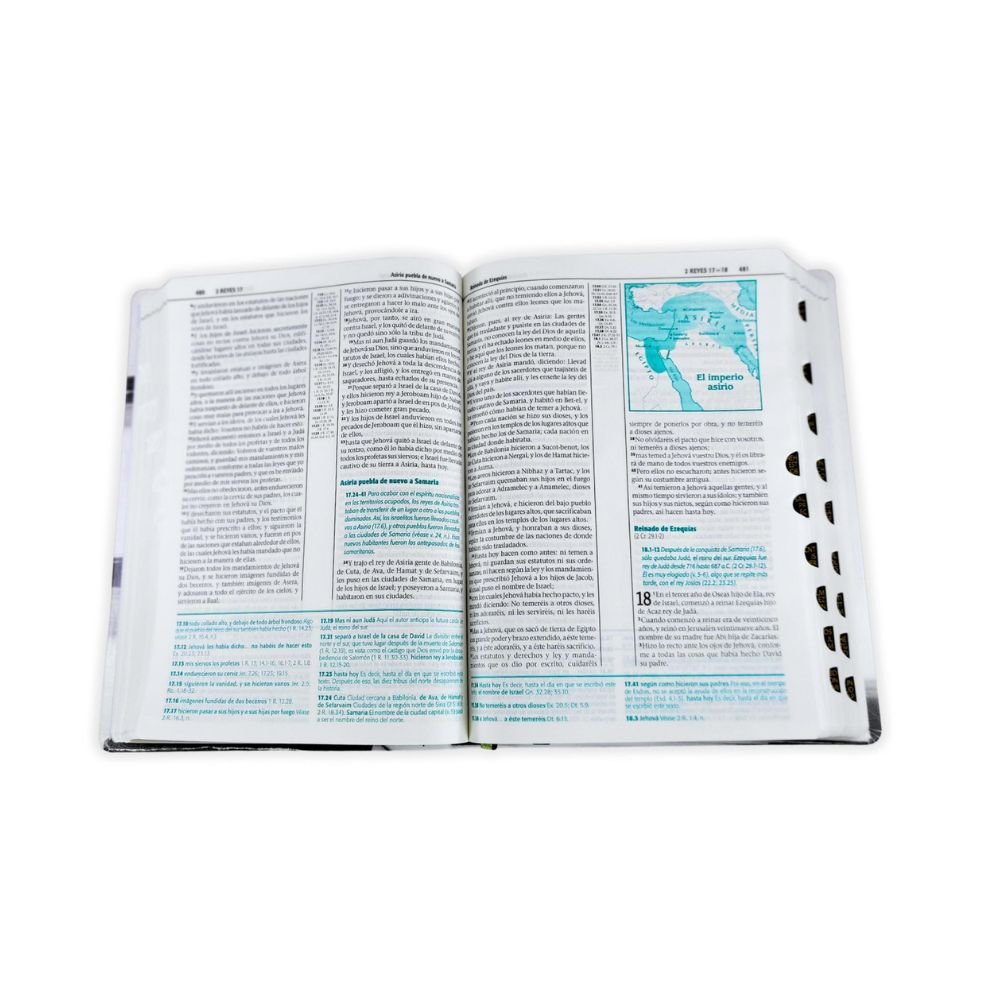 Biblia RV1960 de Estudio Esquematizada Letra Grande Tapa Blanda - Imagen 4