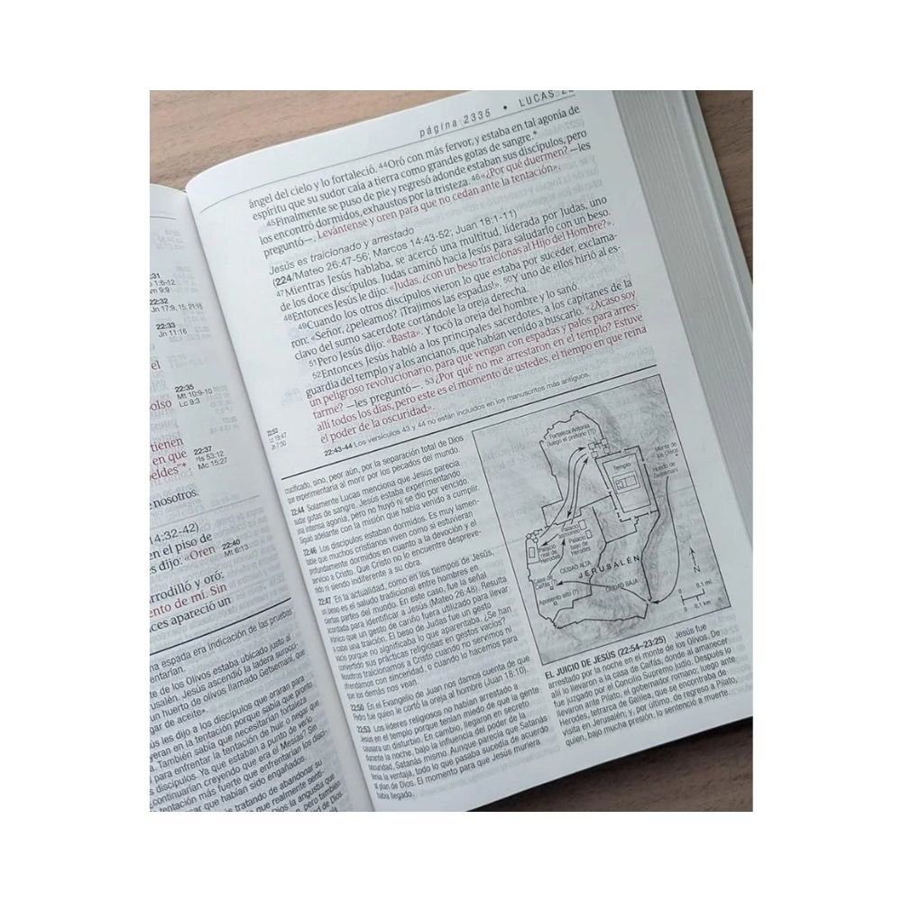 Biblia De Estudio Del Diario Vivir NTV Letra Grande Tapa Dura - Imagen 3