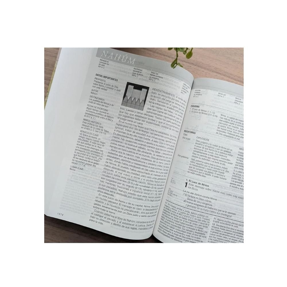 Biblia De Estudio Del Diario Vivir NTV Letra Grande Tapa Dura - Imagen 4