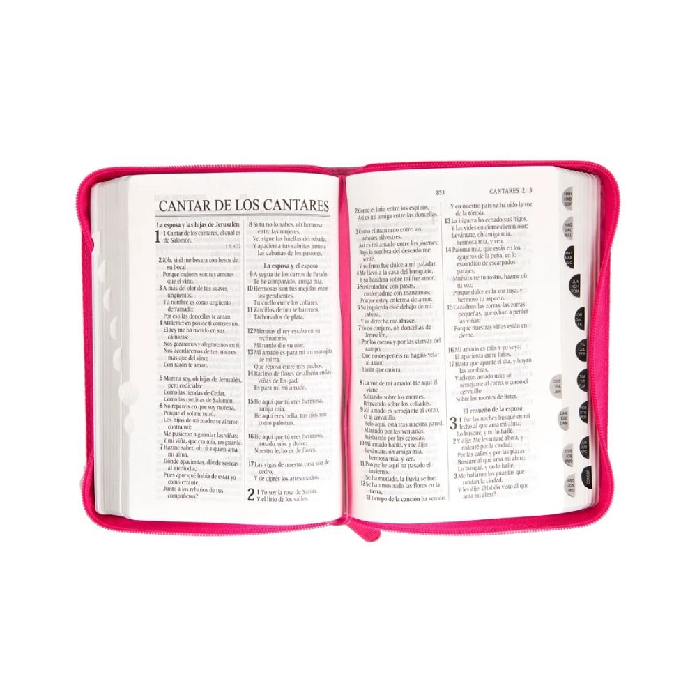 Biblia RV1960 compacta Color Fucsia - Imagen 3
