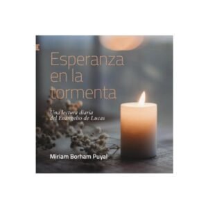 Libro Esperanza en la tormenta - Miriam Borham Puyal