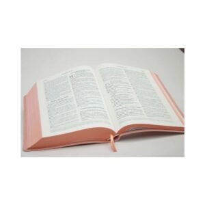Biblia Rvc Ayudas Digitales Rosado